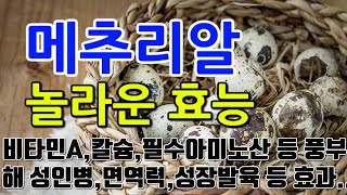 [#메추리알효과] 메추리알의 놀라운 효능 9가지 (비타…