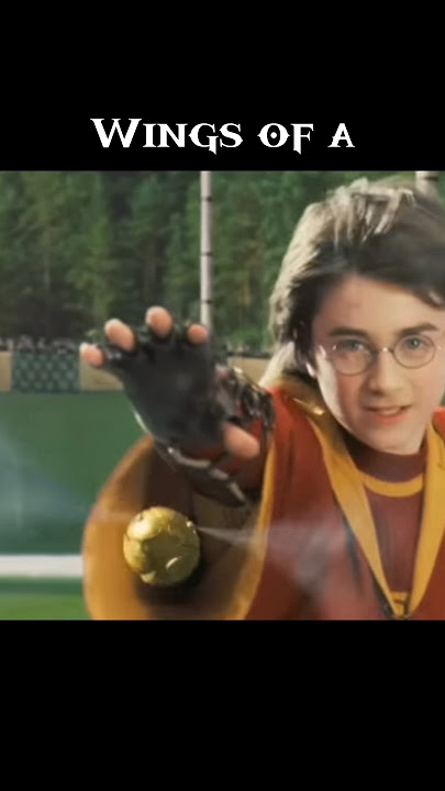 Harry Potter β‘ Edit β¨ Choose your Fighter πΆ