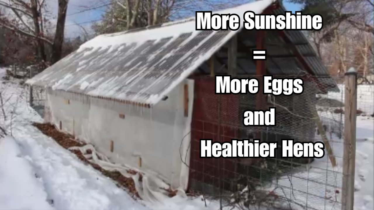 Picture of Passive Solar Chicken House New Solar Extension Designed To Power The