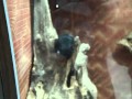 MOV02806