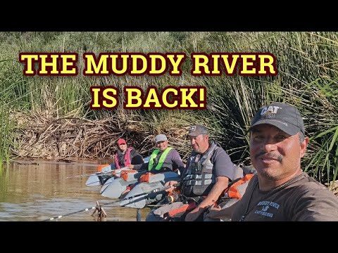 The MUDDY RIVER Is BACK!