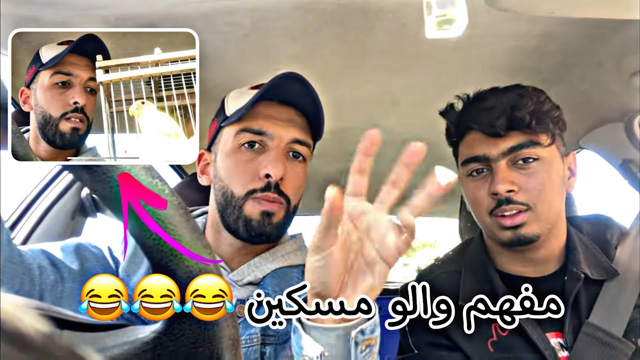 درت مفاجأة 🤭 لعصفور في مراكش صدمتو 😯 بكوبل طيور الروز 🦜 مستوي جميل 😍 شوفو ردت الفعل ديالو 👀😅