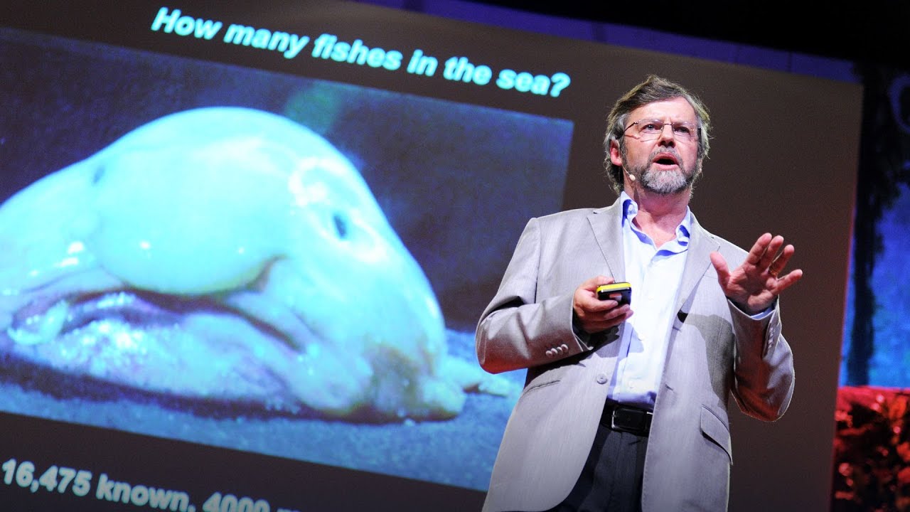 Paul Snelgrove: A census of the ocean - YouTube