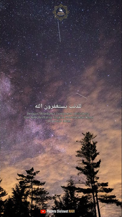 Short Sholawat Ya Sayyidi Ya Rasulullah | Story WA Sholawat Ya Sayyidi Ya Rasulullah