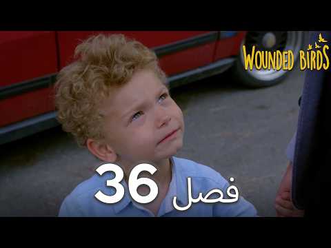 پرندگان زخمی، قسمت ۳۶: نسخه کامل | دوبلهٔ فارسی