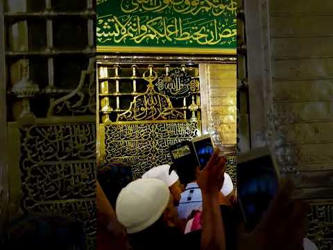 ضاءت بك الأكوان يا رسول الله محمد محمد الفحام