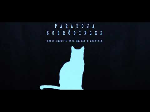 Paradoja Schrödinger