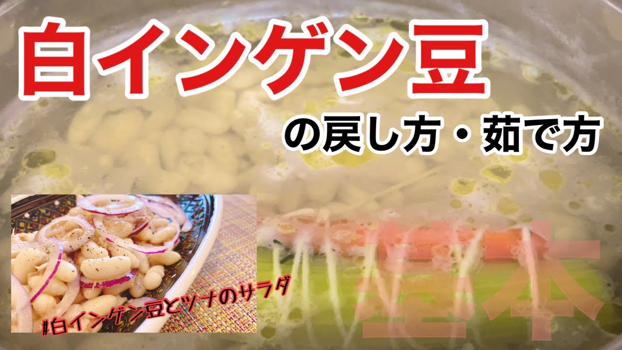 コツを抑えて♪【白インゲン豆の戻し方・茹で方】イタリア郷土料理に欠かせない！豆の茹で方基礎(♪音声解説有り)