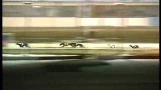 R5 Farkland Rascal 11Th Feb 2012