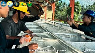 Magang Berdampak FP UB 2026 | PT. Perkebunan Nusantara IV Regional II Kebun Bah Jambi