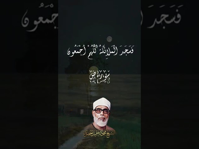 ( فَسَجَدَ الْمَلائِكَةُ كُلُّهُمْ أَجْمَعُونَ )