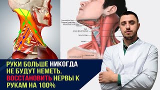 Восстановить нервы к рукам. Перестанут млеть. Уйдут отеки. screenshot 4