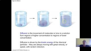 Ch 3 Part 2 The Cytoskeleton and Passive Membrane Transport