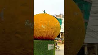 بتاؤ یہ شہرُکون سا ہے foryou automobile funny villagelife farming comedy