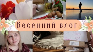 ВЛОГ🕊 ЛЮБИМЫЙ РЕЦЕПТ БЛИНОВ🥞 ПОДАРКИ ОТ СЫНА❤️ РАССАДА🌱