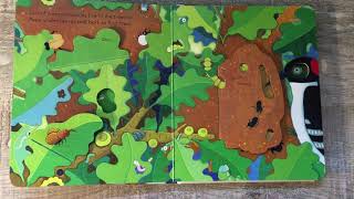 Peep inside a tree By Usborne