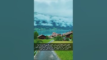 سورة الـإخلـاص | الشيخ أحمد النفيس 🤍🍃