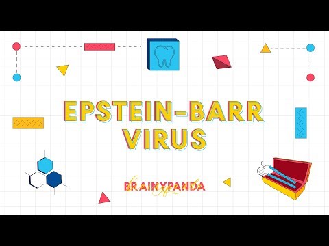 Herpes Virus - 4 (Epstein Barr Virus) | Ilmu Penyakit Mulut | Ilmu Kedokteran Gigi