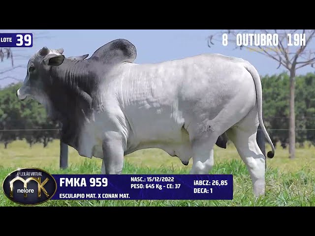 LOTE 39   FMKA 959