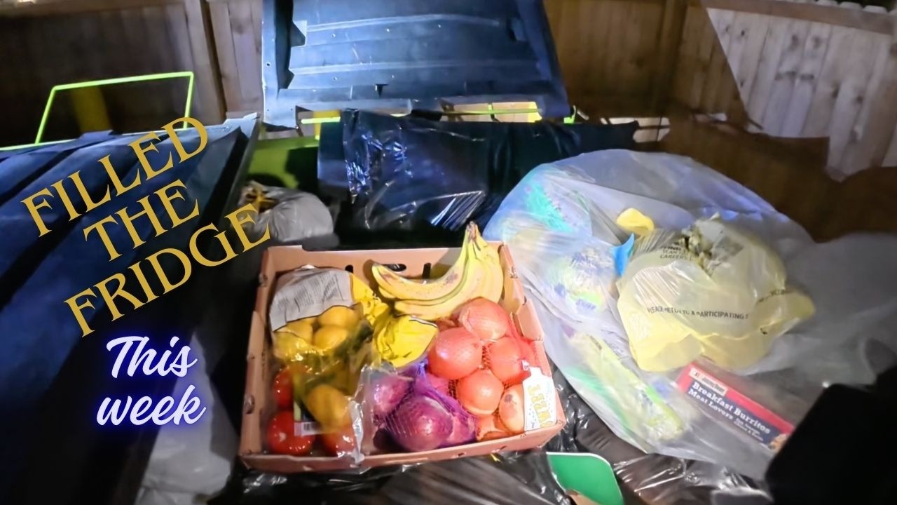 Dumpster diving- Dinner for a week!