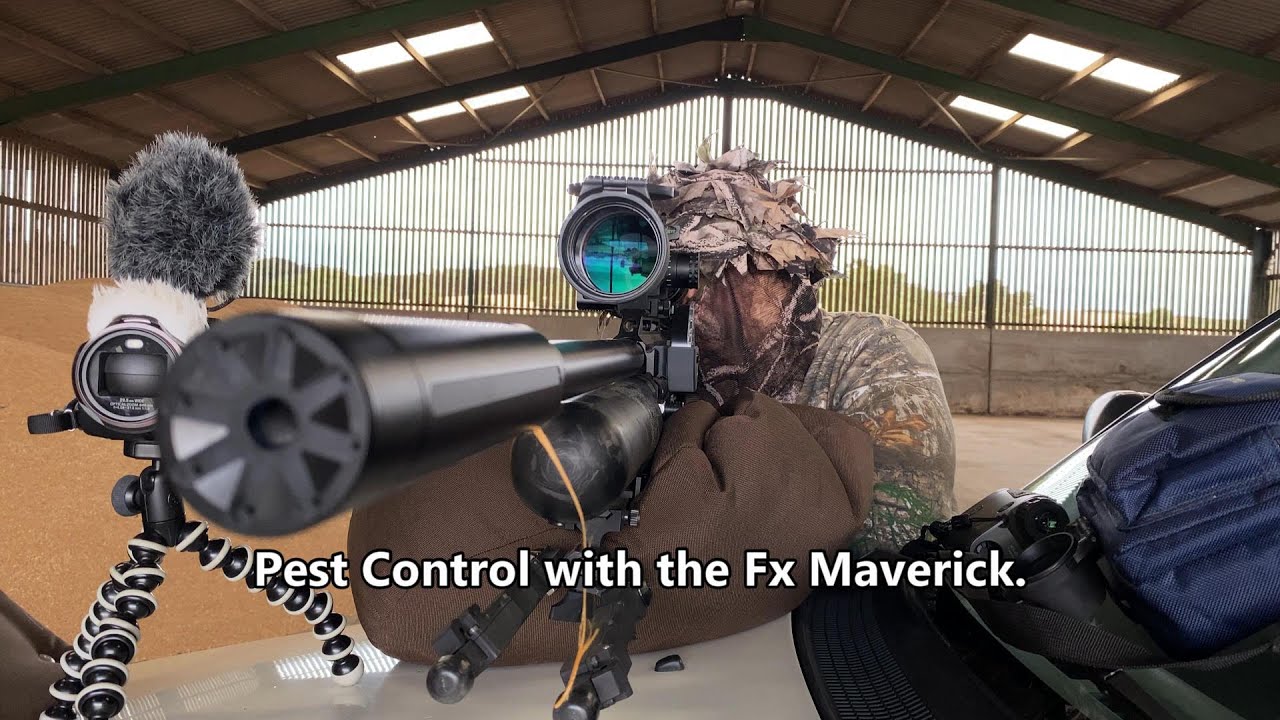 Pest Control with the Fx Maverick .25 YouTube