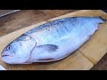 【極上】国産サーモンがとんでもなく捌き易くて旨すぎる…