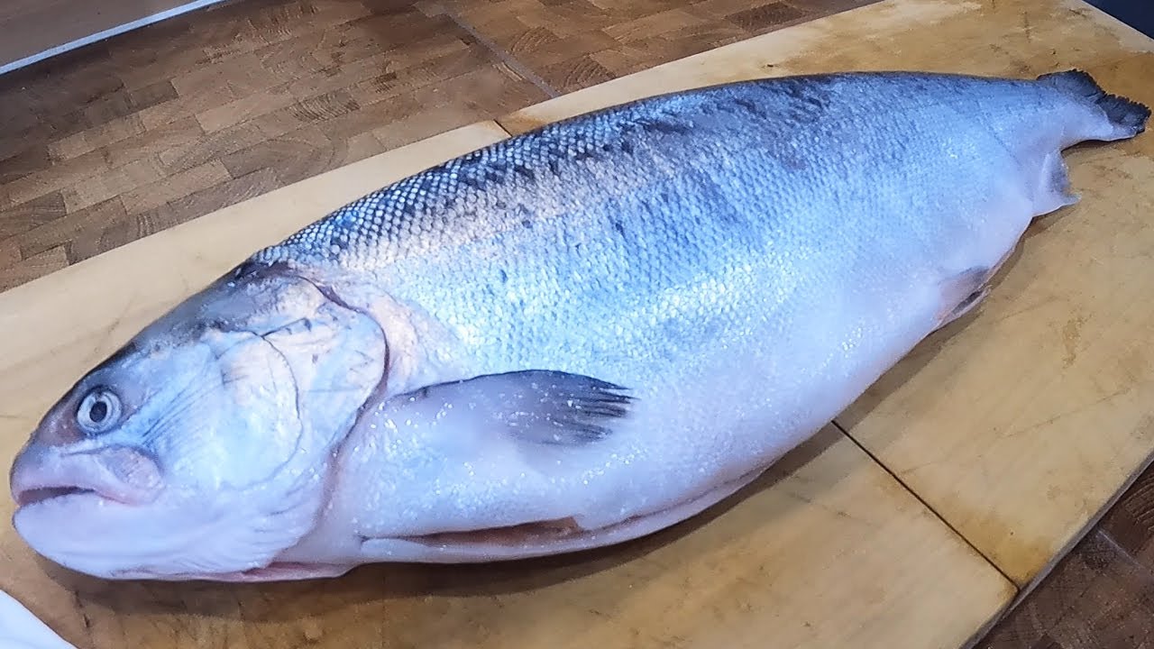 【極上】国産サーモンがとんでもなく捌き易くて旨すぎる…