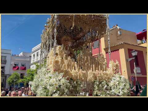 Pontificia, Real e Ilustre Hermandad y Archicofradía de Nazarenos del Santísimo Sacramento, de la Pura y Limpia Concepción de la Santísima Virgen María, Santísimo Cristo de las Tres Caídas, Nuestra Señora de la Esperanza y San Juan Evangelista