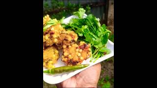 Sabudana ke pakoda Recipe shots pakorarecipecooking