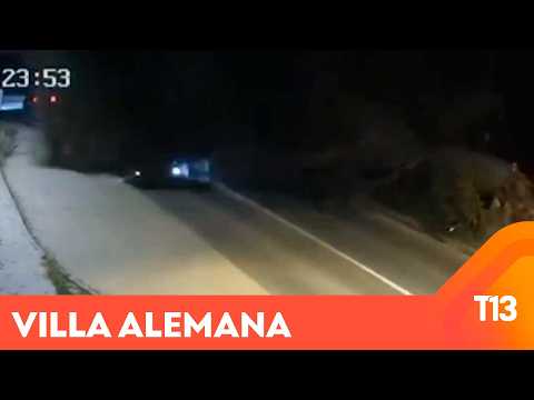 Miraculous escape: tree fell on car