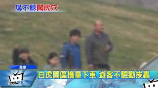 20170320中天新聞 白虎園區攜童下車 遊客不聽勸挨轟
