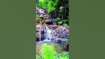#بلغوا_عني_ولو_آية #اسلامية #آيات #قران_كريم #تيك_توك #tiktok #quran