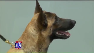 Utah County jail welcomes K-9 in new program