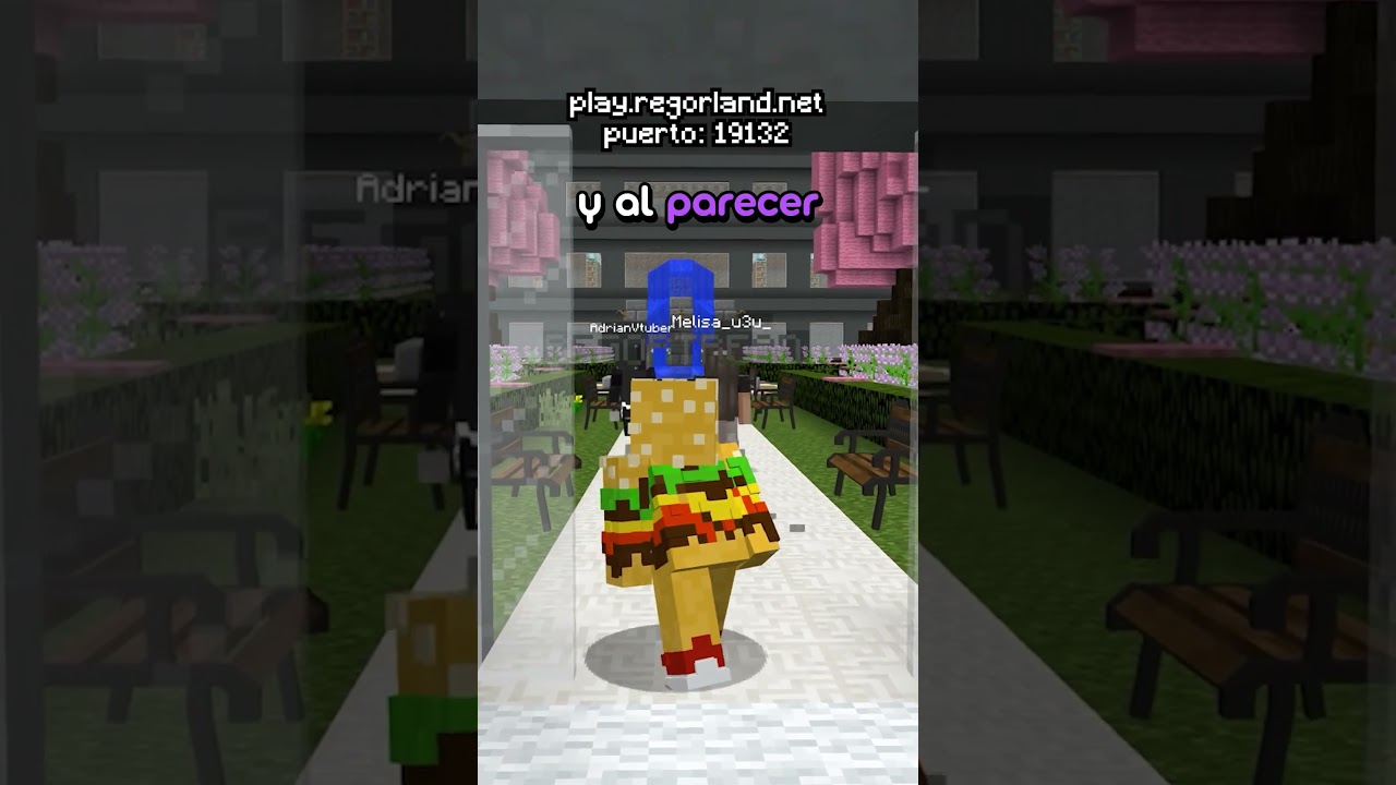 Encontré una pareja de maestros en mi server de Minecraft!
