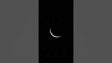 #تلاوات  سورة الإسراء: ٧٨ - ٨١