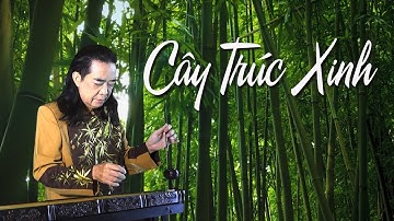 CÂY TRÚC XINH -đàn bầu : PHẠM ĐỨC THÀNH
