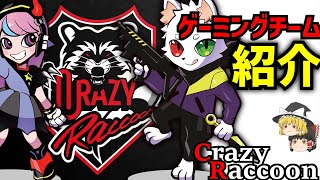 【ゆっくり解説】日本を代表するプロチームCrazyRaccoonを詳しく紹介【2022年】