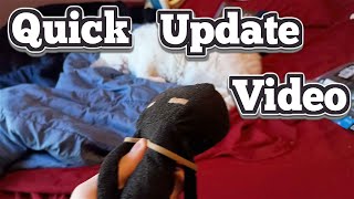 Quick lil update video