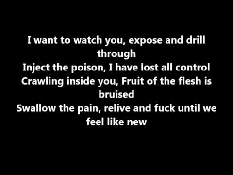 Motionless in White (+) Synthetic Love