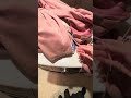 Laundry tragedy part 2