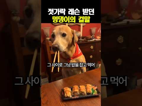 이건 이렇게 먹는 거야ㅋㅋ thumbnail
