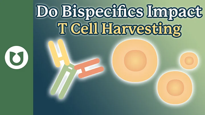 Does Bispecific Antibody Use Affect T-Cell Collection Needed for CAR-T Therapy ? #myeloma