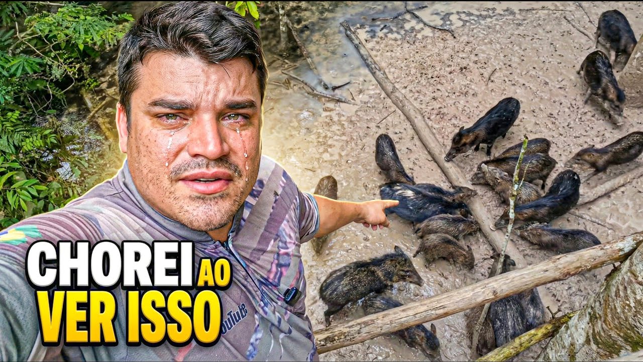 ME EMOCIONEI COM A REAÇÃO DOS PORCOS-DO-MATO NO BARREIRO | ESSE VÍDEO NÃO PODE MORRER