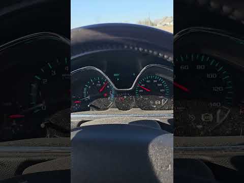 2013   3 6 6 0 60 8 1