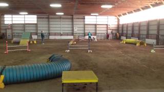 CPE Agility Jackpot (Perri Level 2 NQ)