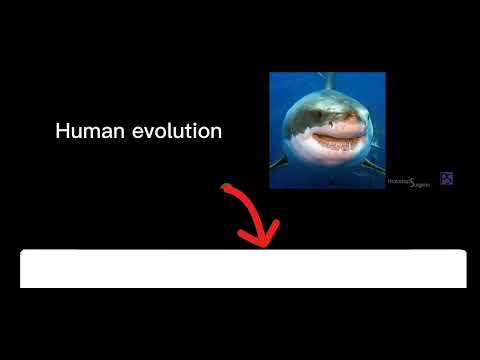 HUMAN/EVOLUTION/EPISODE fog!!! Backwards Up HOMO BUT HUMAN