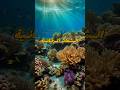 أهمية الشعاب المرجانيه غوص  