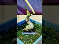 Short Succulent DX 00024 #bonsai #branch #plant