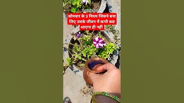 जिसने सोमवार के ये 3 नियम बना लिए उसे जीवन में कभी पीछे मुड़कर नहीं देखना पड़ेगा #pradeepmishra