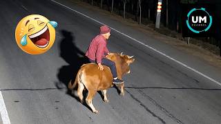 Try Not To Laugh 🤣 Top 100 Funniest Moments 2026 🎬🔥 Ultimate Memes, Epic Fails & Pranks Ever
